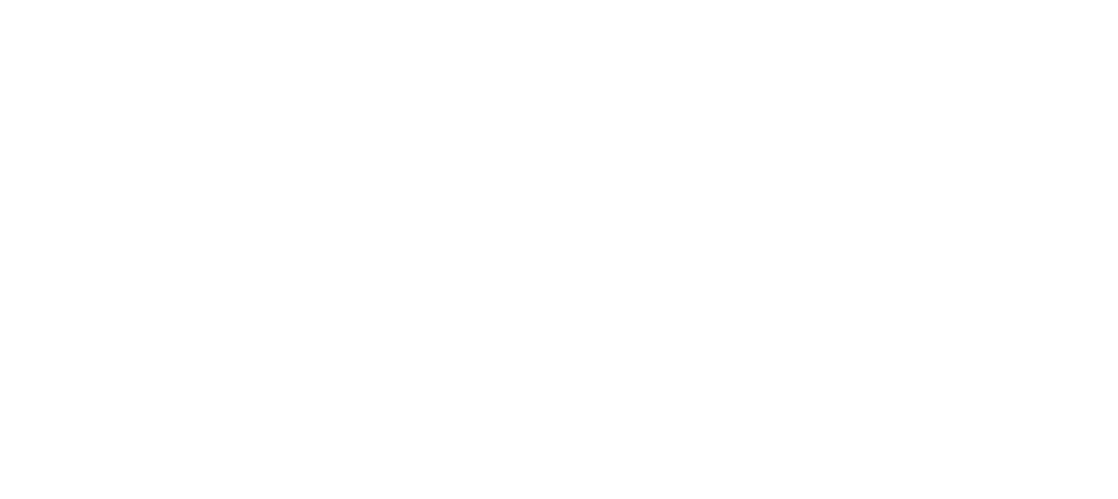 Vita Dentis